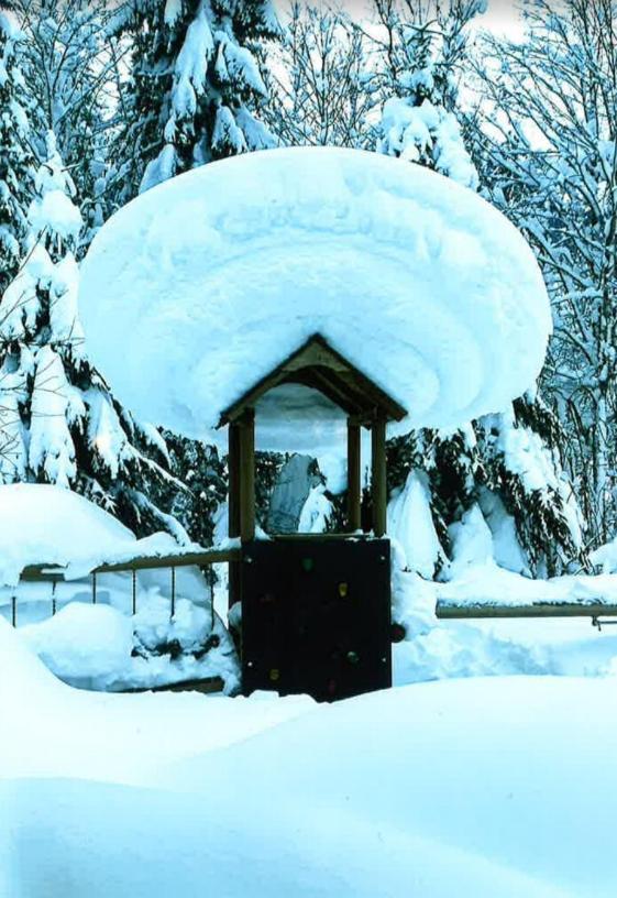 Merryshof Sankt Ulrich am Pillersee Kültér fotó
