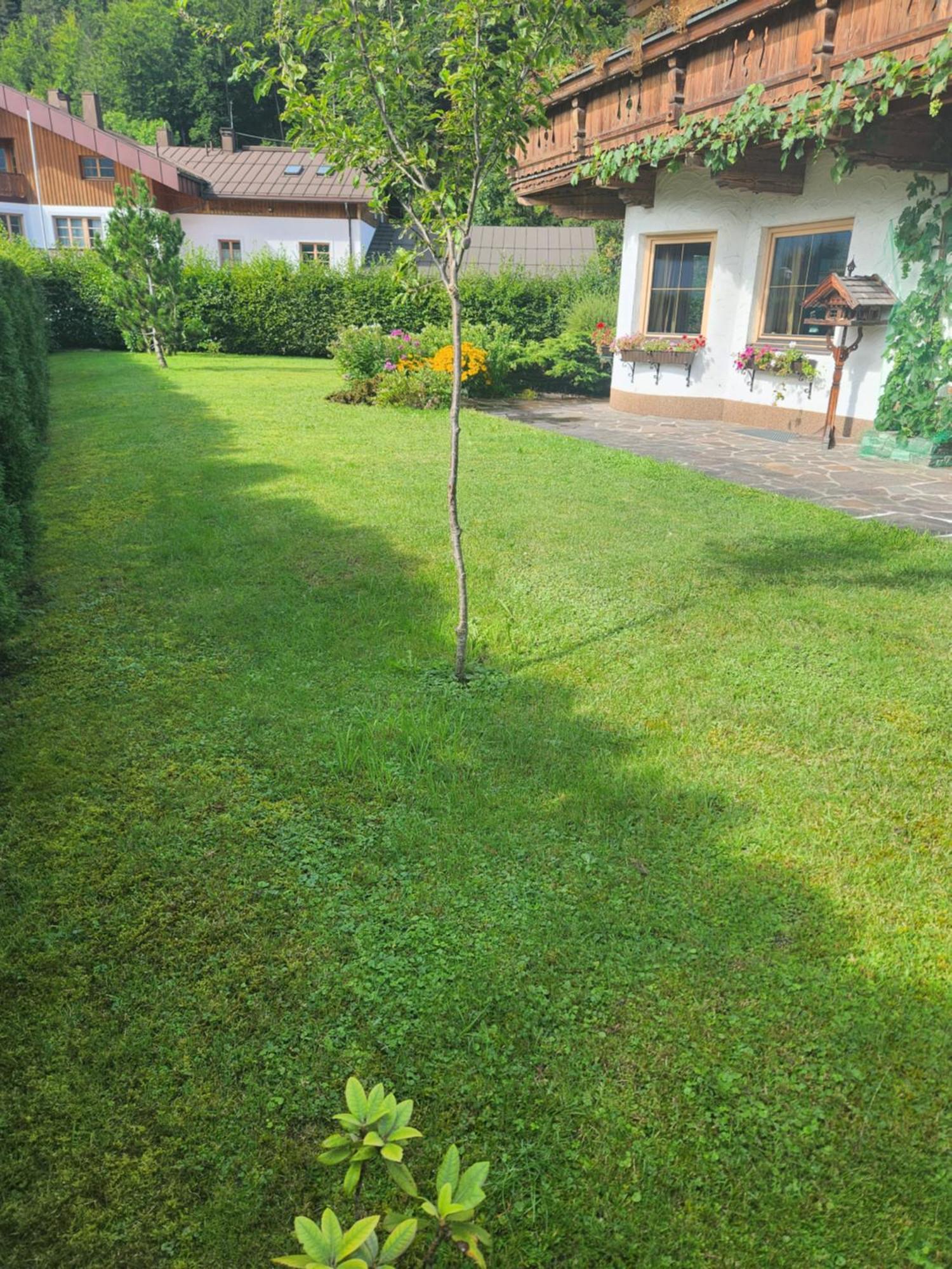 Merryshof Sankt Ulrich am Pillersee Kültér fotó